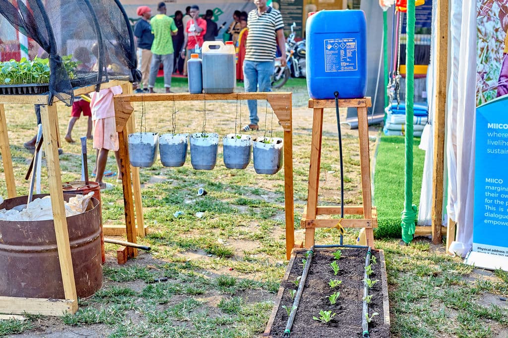 MIICO Showcases Indigenous Seeds at Kariakoo International Trade Fair 3