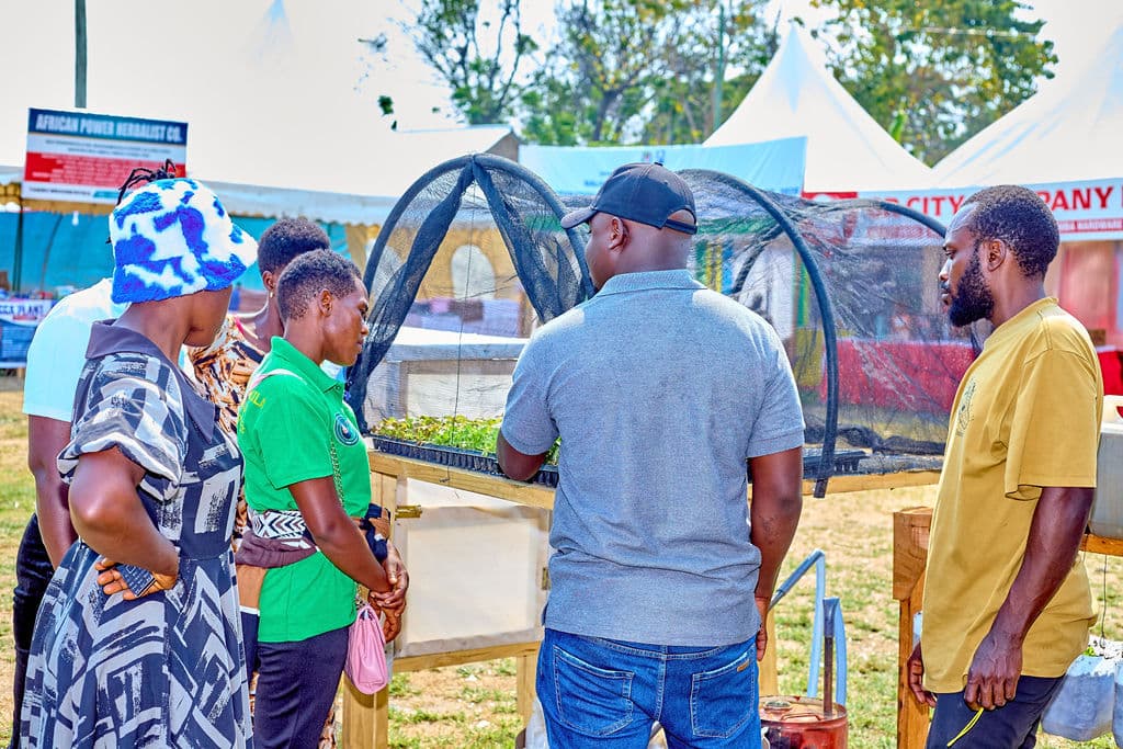 MIICO Showcases Indigenous Seeds at Kariakoo International Trade Fair 6