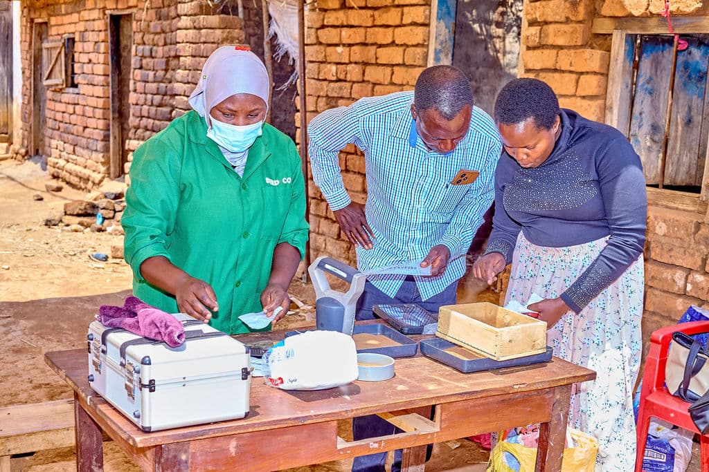 Mbozi Youth Transform Sunflower Farming Into Thriving Agri-Enterprises 3