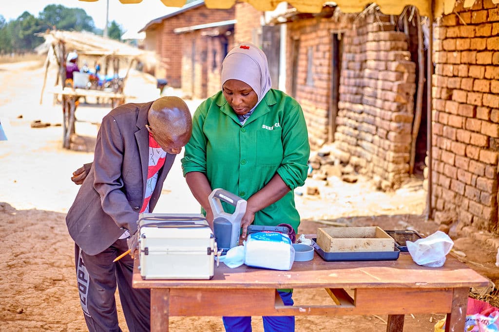 Mbozi Youth Transform Sunflower Farming Into Thriving Agri-Enterprises 4