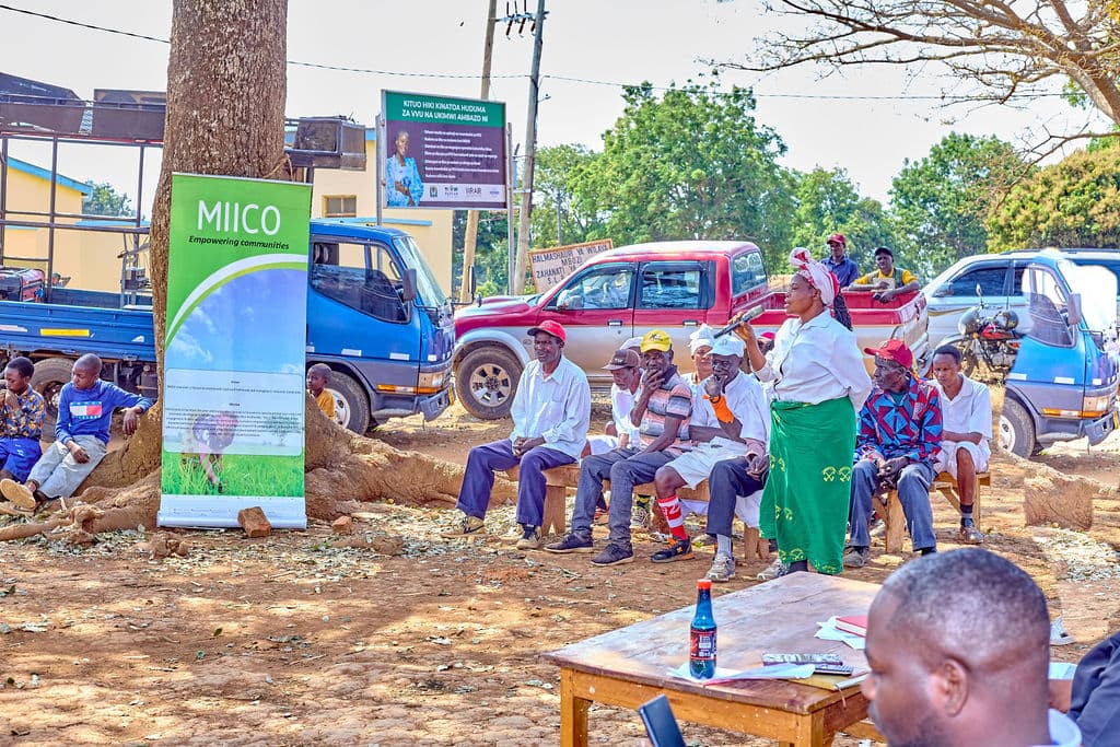Mbozi Youth Transform Sunflower Farming Into Thriving Agri-Enterprises 6