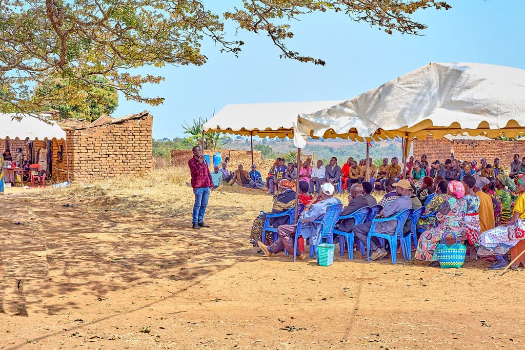 Mbozi Youth Transform Sunflower Farming Into Thriving Agri-Enterprises 9