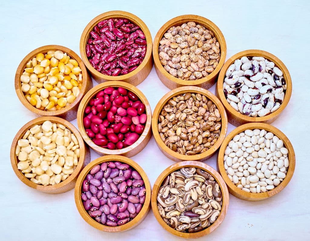 Guardians of the Seed: Rural Women Preserve a Living Agricultural Heritage 2