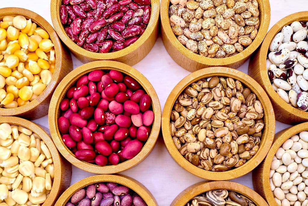 Guardians of the Seed: Rural Women Preserve a Living Agricultural Heritage 4
